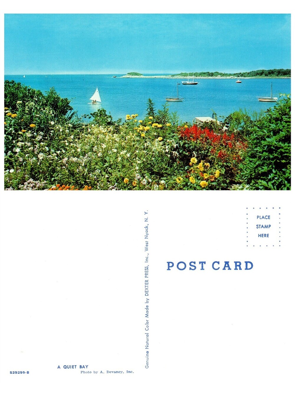 Vintage Postcard New England A Quiet Bay Sailboats Coastal View Old Stock